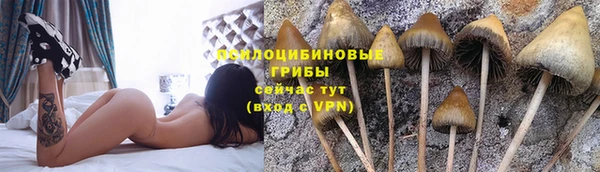 хмурый Михайлов