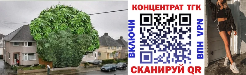 Дистиллят ТГК THC oil  дарнет шоп  Уржум 