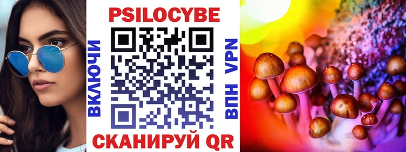 гидра как войти  Уржум  Псилоцибиновые грибы Cubensis 